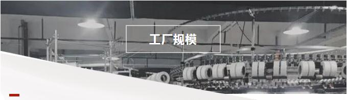 公司规模.jpg